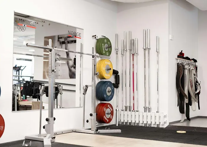 Olympiatoppen Sportshotel - Scandic Partner 3*