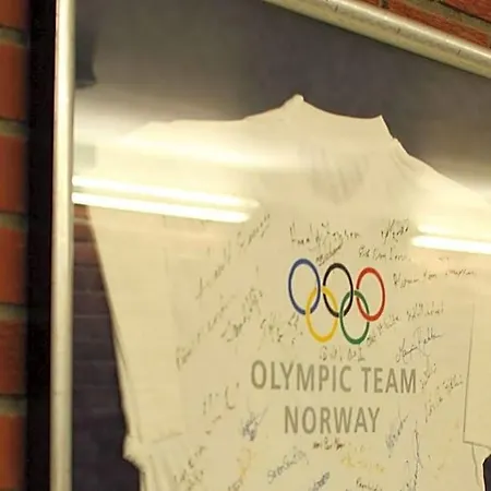 Olympiatoppen Sportshotel - Scandic Partner 3* Oslo