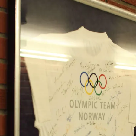Olympiatoppen Sportshotel - Scandic Partner 3*